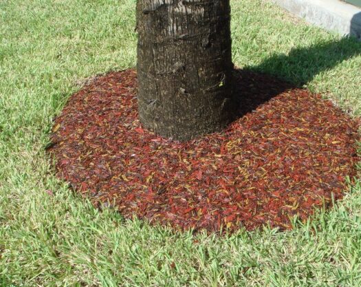 Sarasota Safety Surfacing-Bonded Rubber Mulch