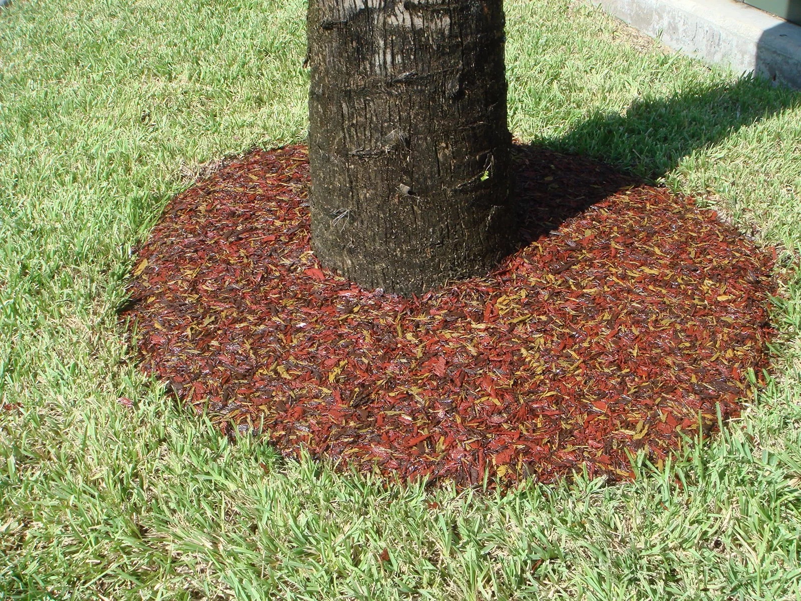 Sarasota Safety Surfacing-Bonded Rubber Mulch